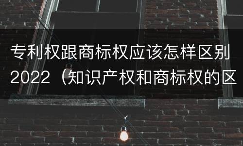 专利权跟商标权应该怎样区别2022（知识产权和商标权的区别）