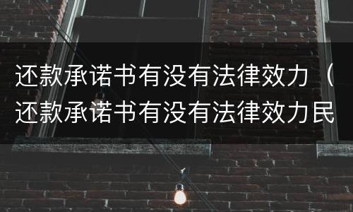 还款承诺书有没有法律效力（还款承诺书有没有法律效力民法典）