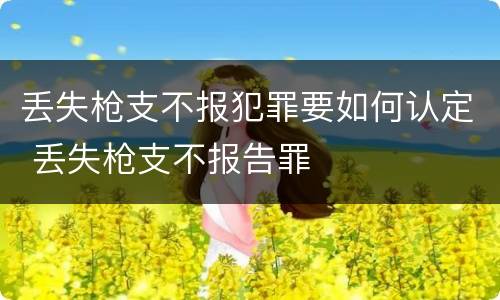 丢失枪支不报犯罪要如何认定 丢失枪支不报告罪