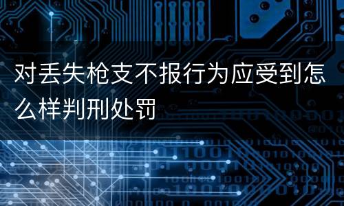 对丢失枪支不报行为应受到怎么样判刑处罚