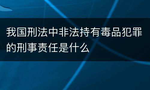 我国刑法中非法持有毒品犯罪的刑事责任是什么