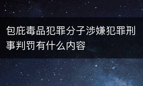 包庇毒品犯罪分子涉嫌犯罪刑事判罚有什么内容
