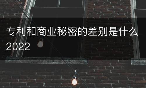 专利和商业秘密的差别是什么2022