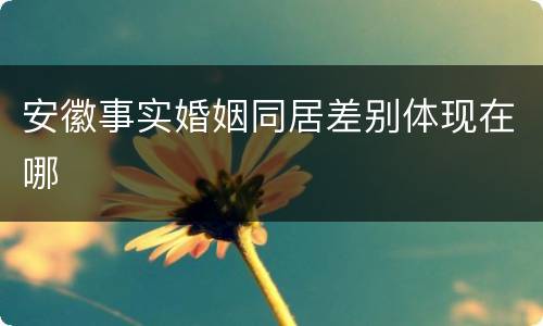 安徽事实婚姻同居差别体现在哪
