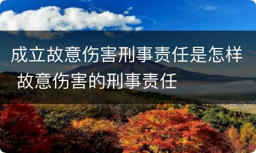 成立故意伤害刑事责任是怎样 故意伤害的刑事责任