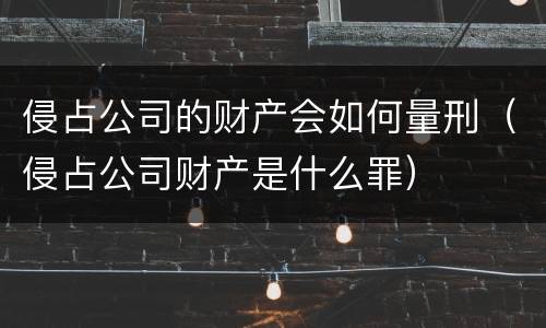 侵占公司的财产会如何量刑（侵占公司财产是什么罪）