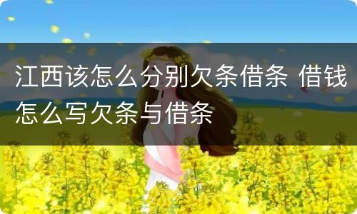 江西该怎么分别欠条借条 借钱怎么写欠条与借条