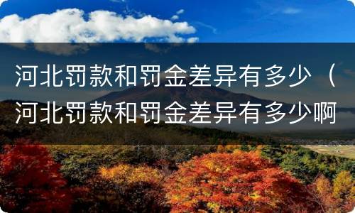 河北罚款和罚金差异有多少（河北罚款和罚金差异有多少啊）