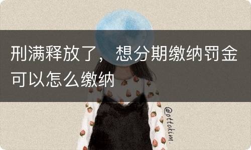 刑满释放了，想分期缴纳罚金可以怎么缴纳