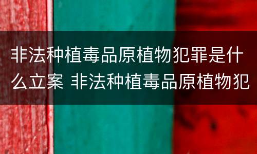 非法种植毒品原植物犯罪是什么立案 非法种植毒品原植物犯罪是什么立案标准