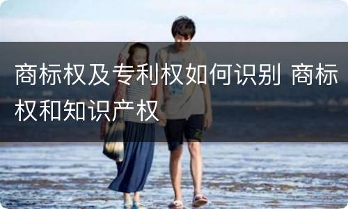 商标权及专利权如何识别 商标权和知识产权