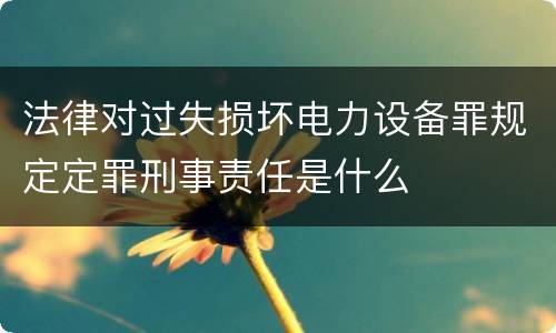 法律对过失损坏电力设备罪规定定罪刑事责任是什么