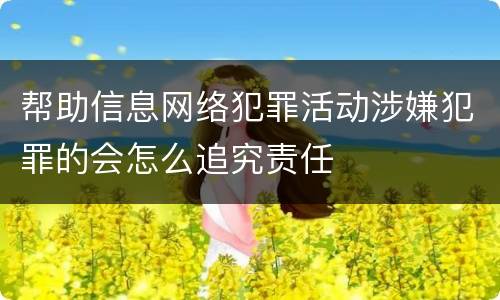 帮助信息网络犯罪活动涉嫌犯罪的会怎么追究责任
