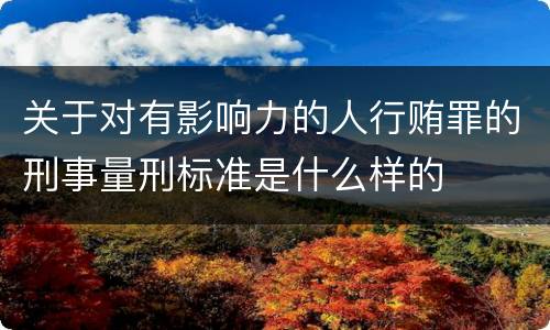 关于对有影响力的人行贿罪的刑事量刑标准是什么样的