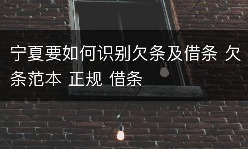 宁夏要如何识别欠条及借条 欠条范本 正规 借条