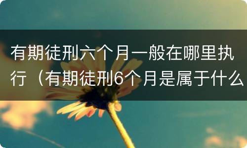 有期徒刑六个月一般在哪里执行（有期徒刑6个月是属于什么）