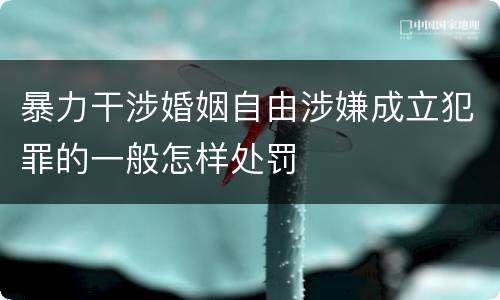 暴力干涉婚姻自由涉嫌成立犯罪的一般怎样处罚