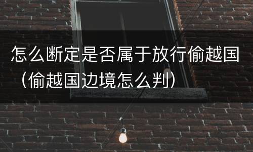 怎么断定是否属于放行偷越国（偷越国边境怎么判）