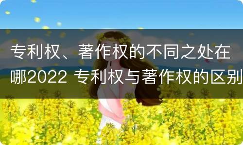 专利权、著作权的不同之处在哪2022 专利权与著作权的区别与联系