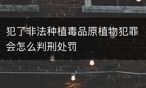 犯了非法种植毒品原植物犯罪会怎么判刑处罚