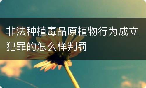 非法种植毒品原植物行为成立犯罪的怎么样判罚