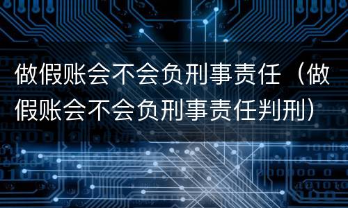 做假账会不会负刑事责任（做假账会不会负刑事责任判刑）