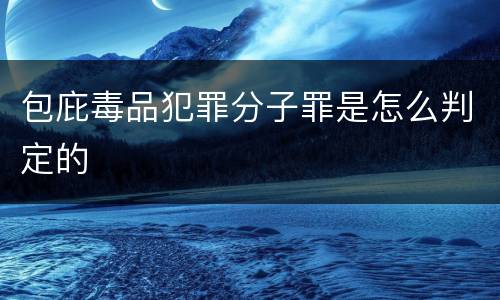 包庇毒品犯罪分子罪是怎么判定的
