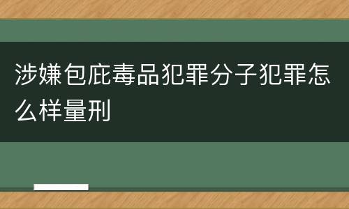 涉嫌包庇毒品犯罪分子犯罪怎么样量刑