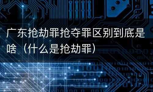 广东抢劫罪抢夺罪区别到底是啥（什么是抢劫罪）