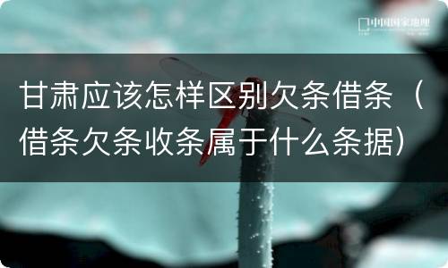 甘肃应该怎样区别欠条借条（借条欠条收条属于什么条据）