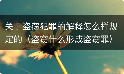 关于盗窃犯罪的解释怎么样规定的（盗窃什么形成盗窃罪）