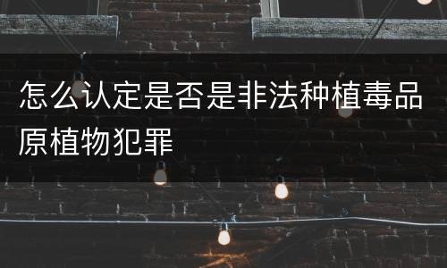 怎么认定是否是非法种植毒品原植物犯罪