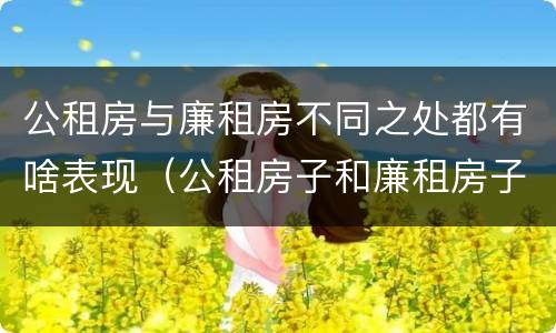 公租房与廉租房不同之处都有啥表现（公租房子和廉租房子的区别）