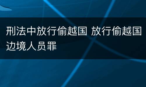 刑法中放行偷越国 放行偷越国边境人员罪