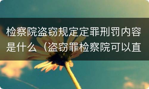 检察院盗窃规定定罪刑罚内容是什么（盗窃罪检察院可以直接判刑吗）
