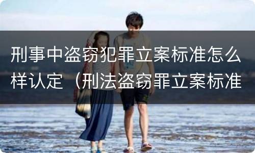 刑事中盗窃犯罪立案标准怎么样认定（刑法盗窃罪立案标准）