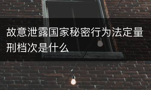 故意泄露国家秘密行为法定量刑档次是什么
