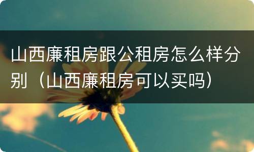 山西廉租房跟公租房怎么样分别（山西廉租房可以买吗）