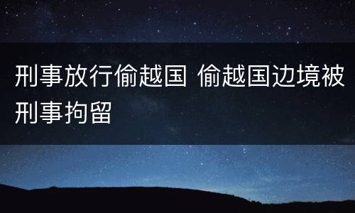 刑事放行偷越国 偷越国边境被刑事拘留