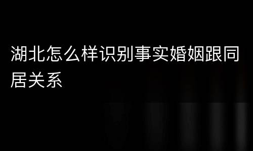 湖北怎么样识别事实婚姻跟同居关系