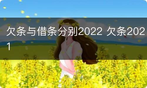 欠条与借条分别2022 欠条2021