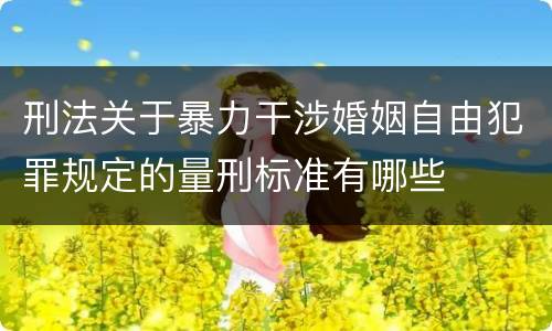 刑法关于暴力干涉婚姻自由犯罪规定的量刑标准有哪些