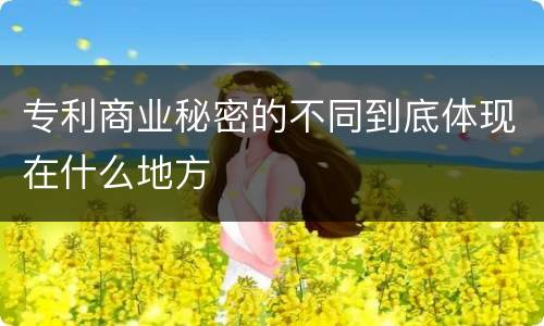 专利商业秘密的不同到底体现在什么地方