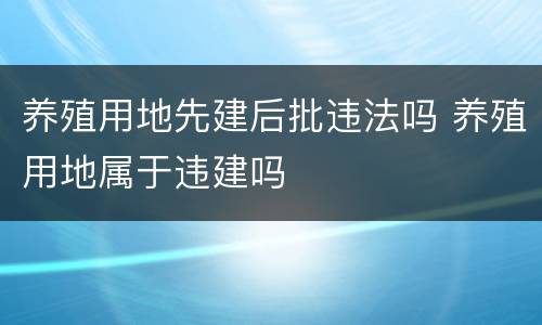 养殖用地先建后批违法吗 养殖用地属于违建吗