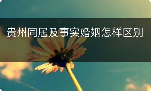 贵州同居及事实婚姻怎样区别