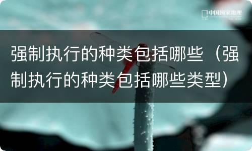 强制执行的种类包括哪些（强制执行的种类包括哪些类型）