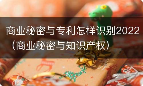 商业秘密与专利怎样识别2022（商业秘密与知识产权）
