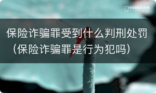 保险诈骗罪受到什么判刑处罚（保险诈骗罪是行为犯吗）