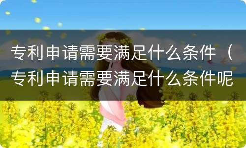 专利申请需要满足什么条件（专利申请需要满足什么条件呢）