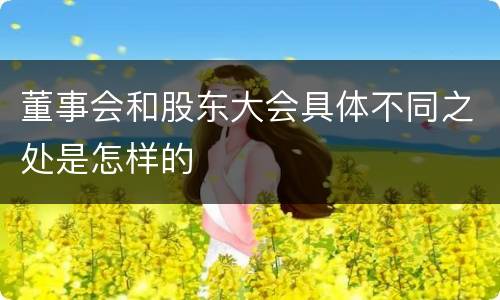 董事会和股东大会具体不同之处是怎样的